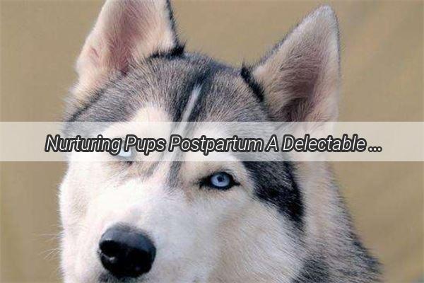 Nurturing Pups Postpartum A Delectable Guide to Nutritious Doggy Meals